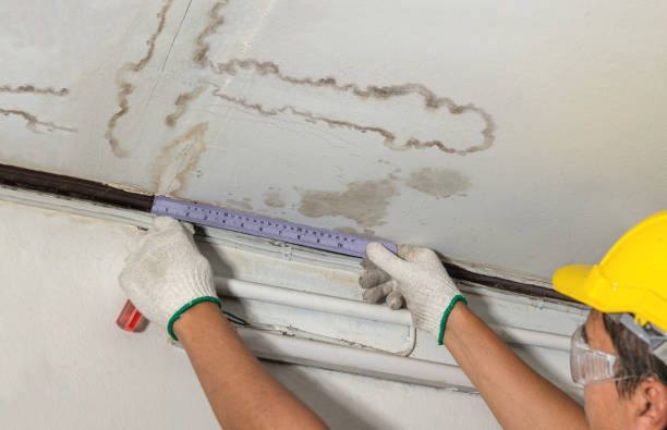 Reliable Burst Pipe Cleanup contractor in Fennville, MI by Water Damage Irwin